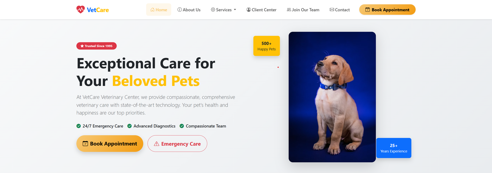 Vet Care Website